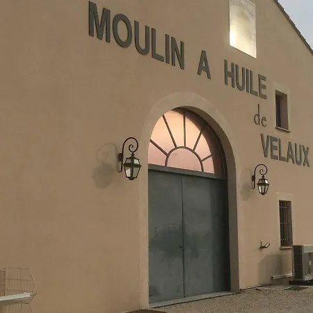 Ecureuil Et Pinede * Velaux